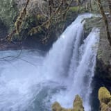 Kalama Falls Trail, Washington - 545 Reviews, Map | AllTrails