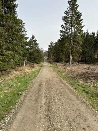 Hoher Meißner P1 (Premiumwanderweg)