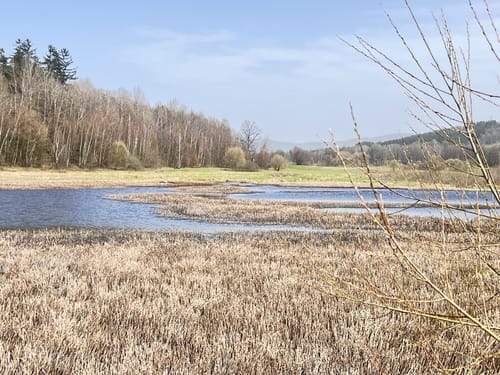 Goldsteig-Runde Nr. 10 Waldmünchen