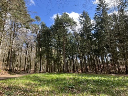 Elbuferwanderweg Tesperhude nach Schnakenbek