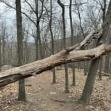 Raven Rocks via Appalachian Trail, Virginia - 5,915 Reviews, Map ...