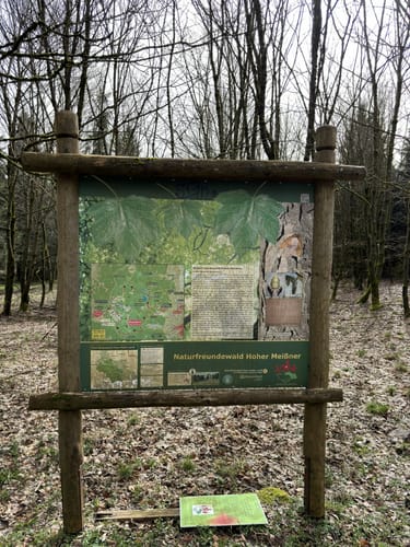 Hoher Meißner P1 (Premiumwanderweg)
