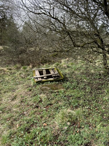 Hoher Meißner P1 (Premiumwanderweg)