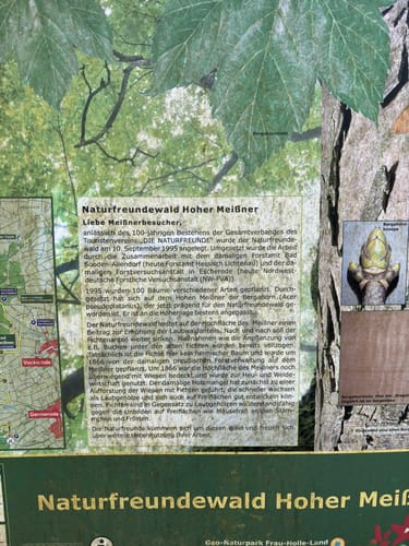 Hoher Meißner P1 (Premiumwanderweg)