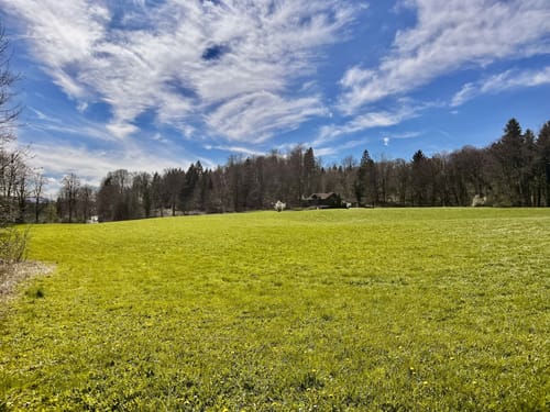 Seeshaupt Wanderung