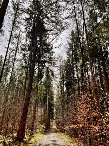 Seeshaupt Wanderung