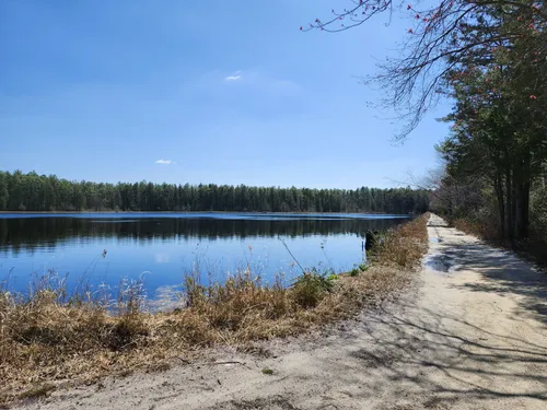 Best Dogs On Leash Trails in Brendan T. Byrne State Forest | AllTrails