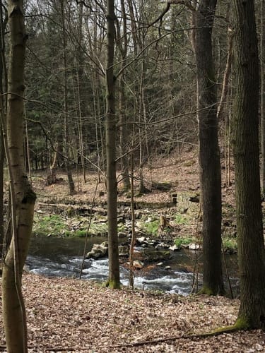 Stausee Sohland - Gondelteich - Kälbersteine