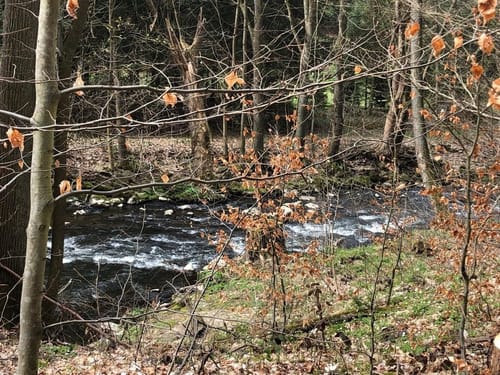 Stausee Sohland - Gondelteich - Kälbersteine