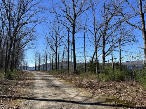 Best Long Trails In Quabbin Reservoir | AllTrails