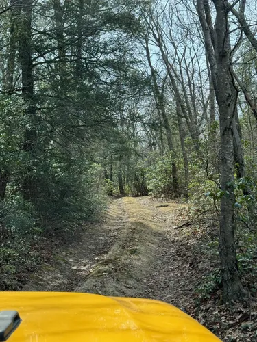 Best Off Road Driving Trails in - EyJidWNrZXQiOiJhc3NldHMuYWxsdHJhaWxzLmNvbSIsImtleSI6InVwbG9hZHMvcGhvdG8vaW1hZ2UvNzIzNDg5MzYvZGRkZWYwOTY3N2U1ZDE3NTEwMzVkODdkODY1NzIzODguanBnIiwiZWRpdHMiOnsidG9Gb3JtYXQiOiJ3ZWJwIiwicmVzaXplIjp7IndpZHRoIjo1MDAsImhlaWdodCI6NTAwLCJmaXQiOiJpbnNpZGUifSwicm90YXRlIjpudWxsLCJqcGVnIjp7InRyZWxsaXNRdWFudGlzYXRpb24iOnRydWUsIm92ZXJzaG9vdERlcmluZ2luZyI6dHJ1ZSwib3B0aW1pc2VTY2FucyI6dHJ1ZSwicXVhbnRpc2F0aW9uVGFibGUiOjN9fX0=