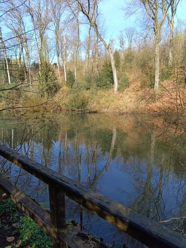 Witthausbusch