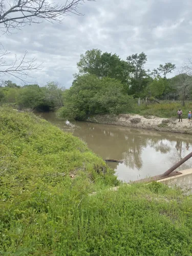 Best Trail Running Trails In Lake Somerville State Park – Nails Creek 