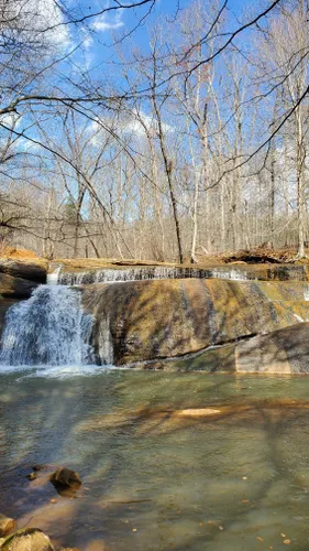 Best Hikes and Trails in Mayo River State Park | AllTrails