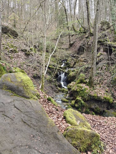 Teufelsschlucht und Keltenhöhle Rundweg