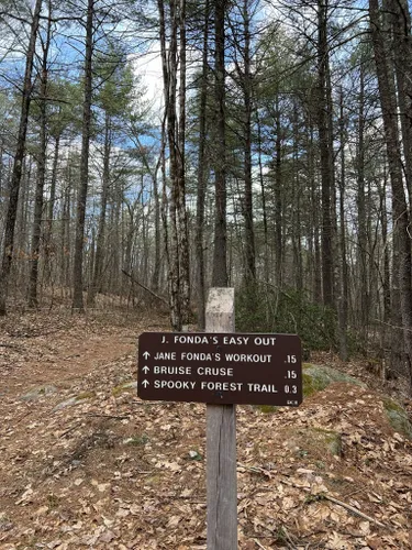 Best Mountain Biking Trails in Leominster State Forest | AllTrails