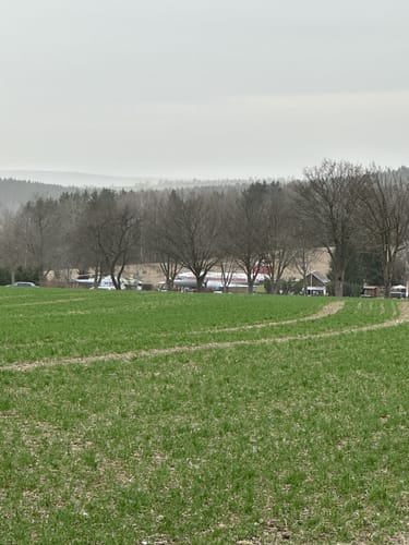 Talsperre Rauschenbach