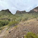 Picacho Nature Trail - Arizona | AllTrails