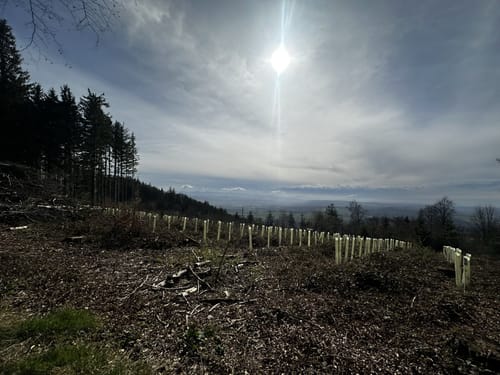Hotzenpfad (Premiumwanderweg)