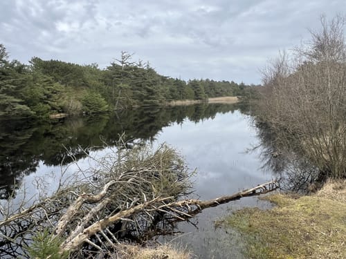 Panoramarute 404: Luft under Vingerne