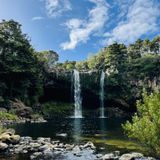 Rainbow Falls Walk, Northland, New Zealand - 85 Reviews, Map | AllTrails