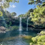 Rainbow Falls Walk, Northland, New Zealand - 85 Reviews, Map | AllTrails