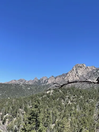 Best Forest Trails in Elena Gallegos Picnic Area/Albert G. Simms Park ...