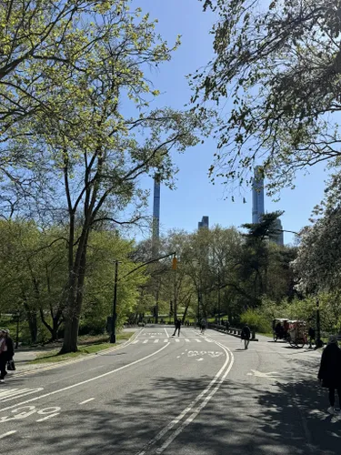 los parques centrales permiten perros