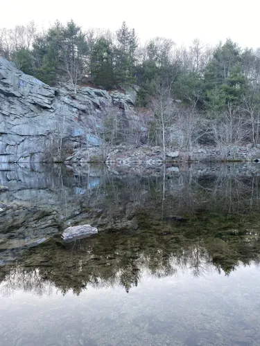 Best Forest Trails in Southeastern Massachusetts Bioreserve | AllTrails