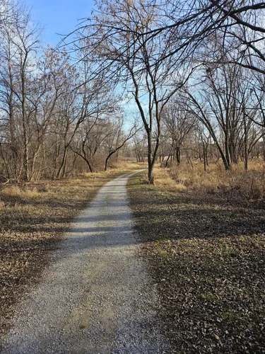 Best Walking Trails in Lake Macbride State Park | AllTrails