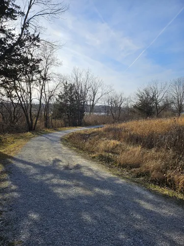 Best Walking Trails in Lake Macbride State Park | AllTrails