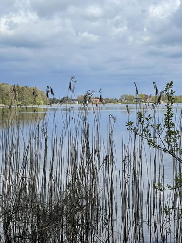 Bordesholmer See Rundweg