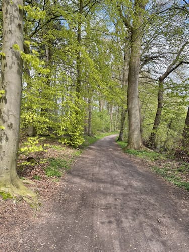 Bordesholmer See Rundweg