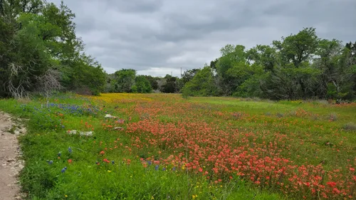 Best Beach Trails in McKinney Falls - EyJidWNrZXQiOiJhc3NldHMuYWxsdHJhaWxzLmNvbSIsImtleSI6InVwbG9hZHMvcGhvdG8vaW1hZ2UvNzM0MzgzMTQvMjAxMWY4MmNiMzdhZmUyOWY5ODFiOGZiODRmNzRjMmUuanBnIiwiZWRpdHMiOnsidG9Gb3JtYXQiOiJ3ZWJwIiwicmVzaXplIjp7IndpZHRoIjo1MDAsImhlaWdodCI6NTAwLCJmaXQiOiJpbnNpZGUifSwicm90YXRlIjpudWxsLCJqcGVnIjp7InRyZWxsaXNRdWFudGlzYXRpb24iOnRydWUsIm92ZXJzaG9vdERlcmluZ2luZyI6dHJ1ZSwib3B0aW1pc2VTY2FucyI6dHJ1ZSwicXVhbnRpc2F0aW9uVGFibGUiOjN9fX0=