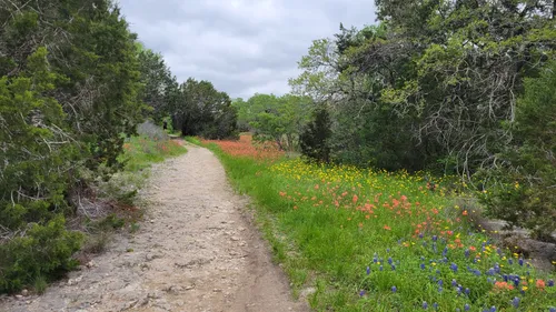 Best Beach Trails in McKinney Falls - EyJidWNrZXQiOiJhc3NldHMuYWxsdHJhaWxzLmNvbSIsImtleSI6InVwbG9hZHMvcGhvdG8vaW1hZ2UvNzM0MzgzMzkvNGU2NDk0ZmQwODQ4ODM3MTMyZGRkMGY2YzI4MDlkZDcuanBnIiwiZWRpdHMiOnsidG9Gb3JtYXQiOiJ3ZWJwIiwicmVzaXplIjp7IndpZHRoIjo1MDAsImhlaWdodCI6NTAwLCJmaXQiOiJpbnNpZGUifSwicm90YXRlIjpudWxsLCJqcGVnIjp7InRyZWxsaXNRdWFudGlzYXRpb24iOnRydWUsIm92ZXJzaG9vdERlcmluZ2luZyI6dHJ1ZSwib3B0aW1pc2VTY2FucyI6dHJ1ZSwicXVhbnRpc2F0aW9uVGFibGUiOjN9fX0=