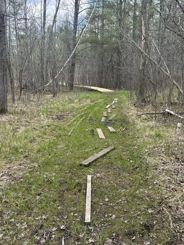 Peaceful Retreats: 5 Beautiful Hiking Trails in West Bend – Wisconsin