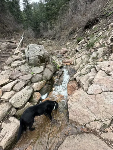 Best Moderate Trails In Chautauqua Trailhead | AllTrails