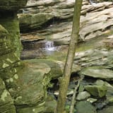 Double Rock Park Trail, Maryland - 1,056 Reviews, Map | AllTrails