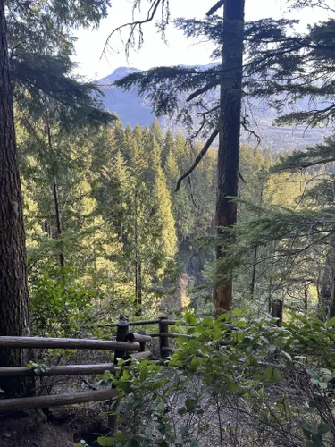 Best Forest Trails in Wallace Falls State Park | AllTrails