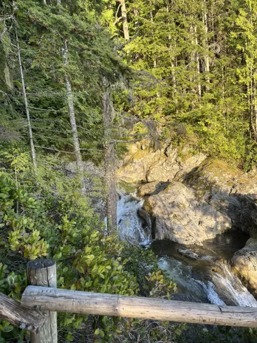 Best Forest Trails in Wallace Falls State Park | AllTrails