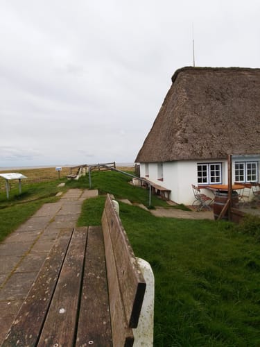Salzwiesen, soweit das Auge reicht (WWF Tour Hamburger Hallig)