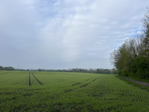 Kleine Runde um den Böhmerweiher