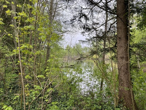 Kleine Runde um den Böhmerweiher