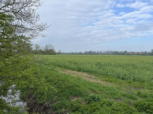 Kleine Runde um den Böhmerweiher