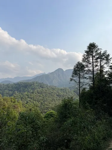 Hoàng Liên National Park Die besten Routen zum Wandern AllTrails