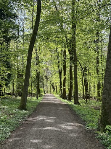 Wohldorferwald Rundweg