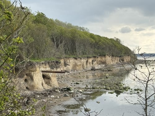 Poel West