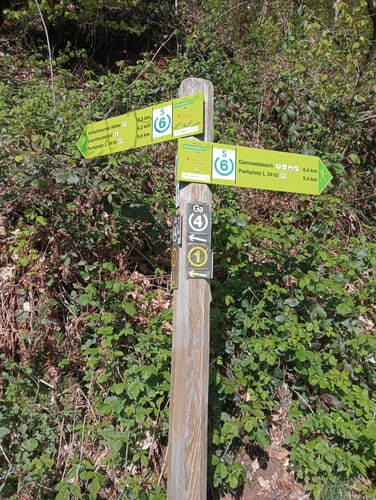 Rundwanderweg Burg Freienstein
