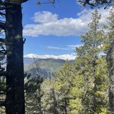 Bergen Peak Trail, Colorado - 1,518 Reviews, Map | AllTrails