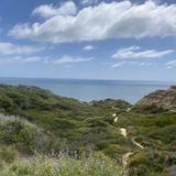 Torrey Pines Beach Trail Loop, California - 7,827 Reviews, Map | AllTrails